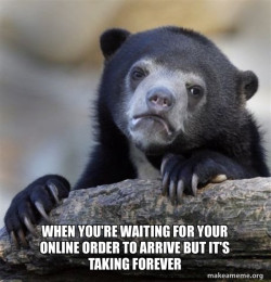 Confession Bear