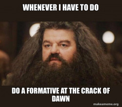 Hagrid - I should not have said that
