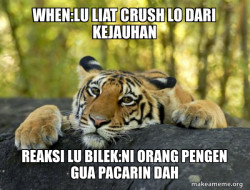 Confession Tiger