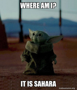 Baby Yoda