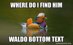Fashionable Advice Mallard