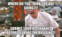 Gordon Ramsay Hell's Kitchen