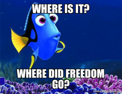 Dory from Nemo  (5 second memory)