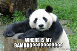 Confession Panda