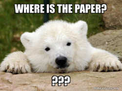 Popular Opinion Bear