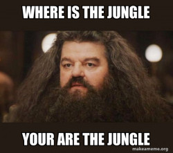 Hagrid - I should not have said that