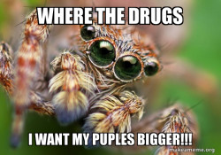 Hipster Spider