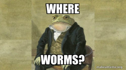 Colonel Toad