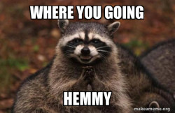 Evil Plotting Raccoon