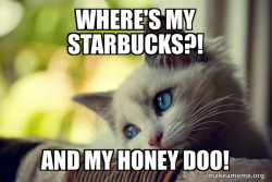 First World Cat Problems