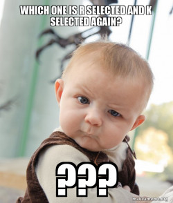 Skeptical Baby