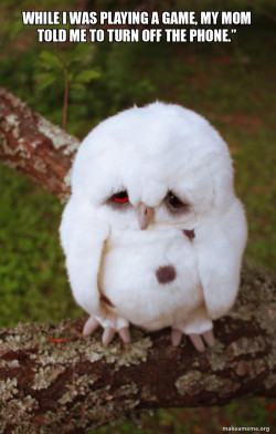 Sad Owl