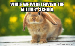 Regretful Rabbit