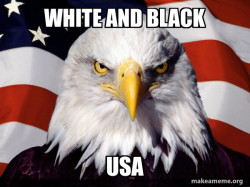 American Pride Eagle