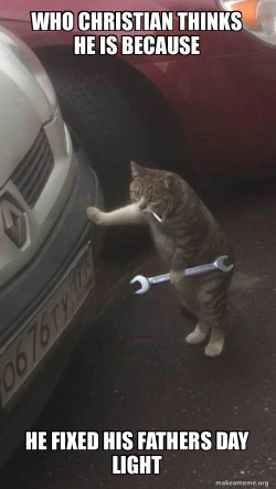 Mechanic Cat