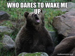 Sarcastic Bear
