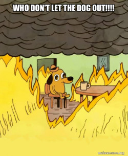This Is Fine