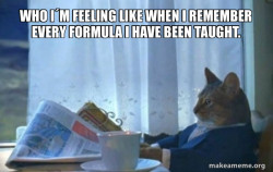 Sophisticated Cat