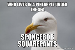 SpongeBob