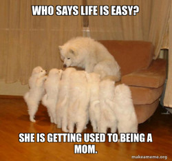 Who says life is easy?