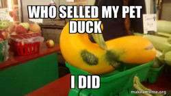 Gourd Advice Mallard