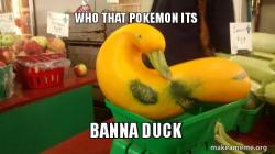 Gourd Advice Mallard