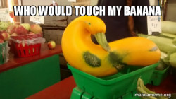 Gourd Advice Mallard