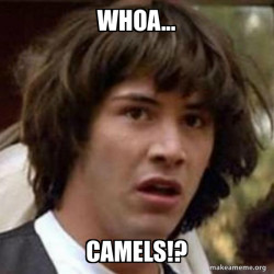 Conspiracy Keanu