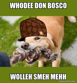 Scumbag dog