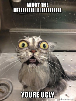 angry ewoud