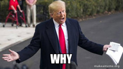 Trump - Impeachment Quid Pro Quo