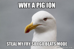 Stuff That Didn't Happen Seagull