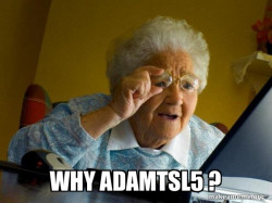 Internet Grandma