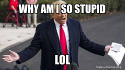 Trump - Impeachment Quid Pro Quo
