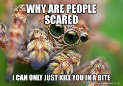 Hipster Spider
