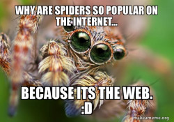 Hipster Spider