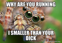 Hipster Spider