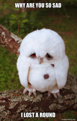 Sad Owl