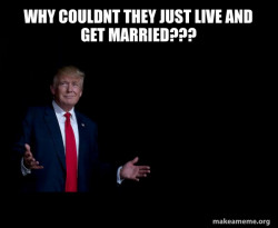 Trump Everything is FIne