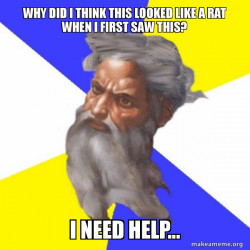 Advice God