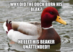 Malicious Advice Mallard