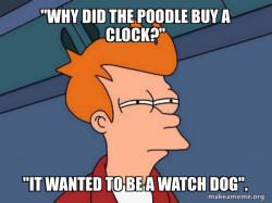 Futurama Fry