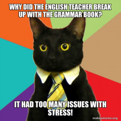 Business Cat