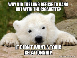 Popular Opinion Bear