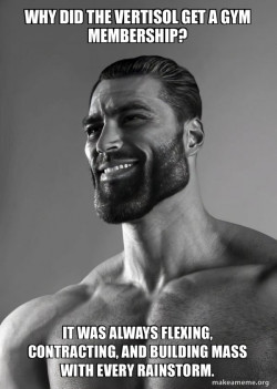 Gigachad