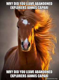 Ridiculously photogenic horse