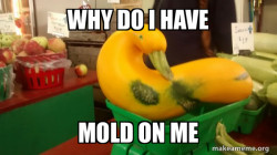 Gourd Advice Mallard
