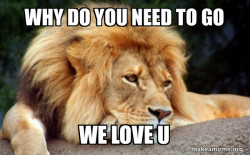 Confession Lion