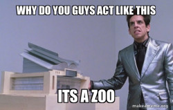 Center for Ants (Zoolander)