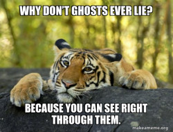 Confession Tiger